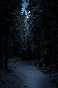 winter horror movies
