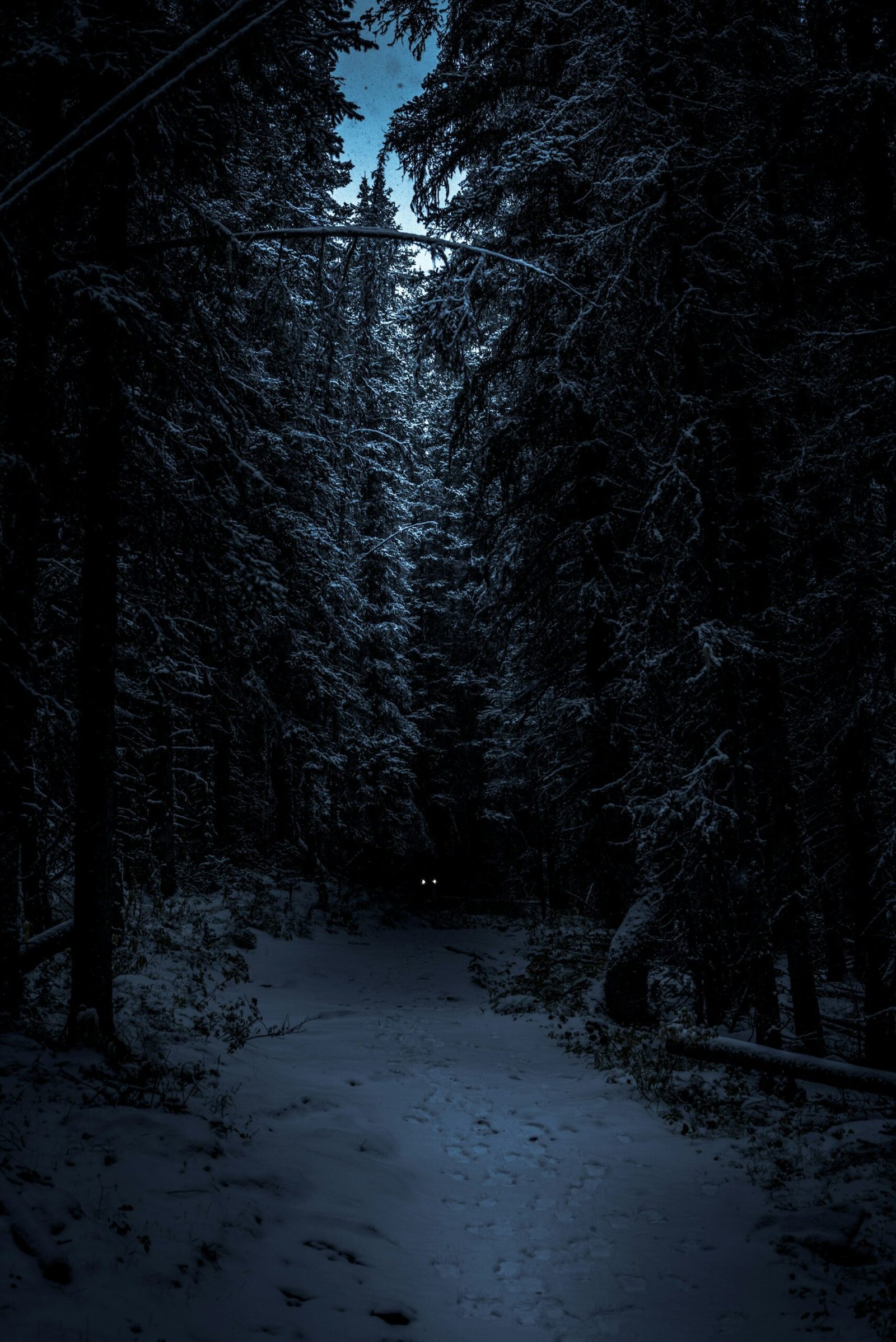 winter horror movies